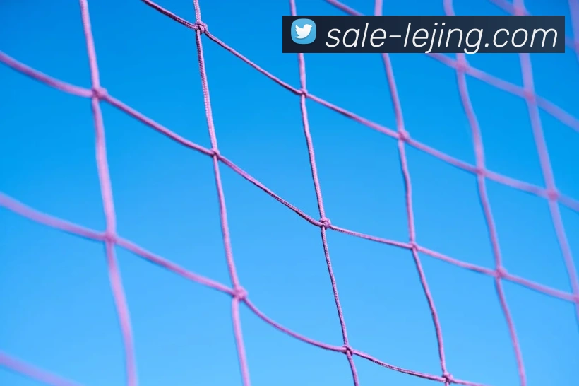 乐竞体育APP 封面图